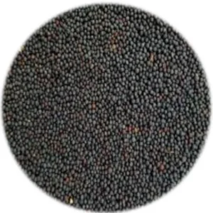 Seed - Black Rape - 1kg