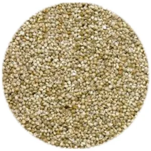 Seed - Jap Millet - 1kg