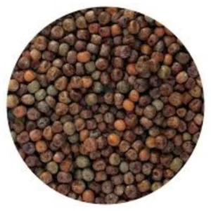 Seed - Maple Peas - 1kg