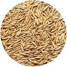 Seed - Clipped Barley - 1kg