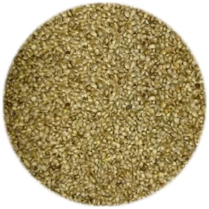 Seed - Hemp Seed - 1kg