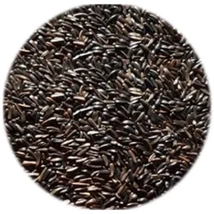 Seed - Niger Seed - 1kg