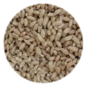 Seed - Pearl Barley - 50kg