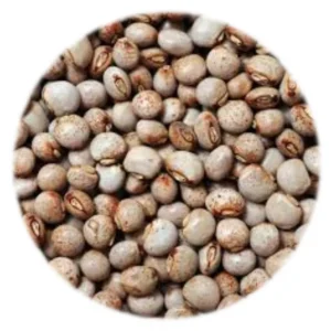 Seed - Pigeon Peas - 1kg