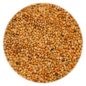 Seed - Red Manna - 1kg