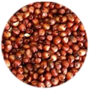 Seed - Red Sorghum - 1kg