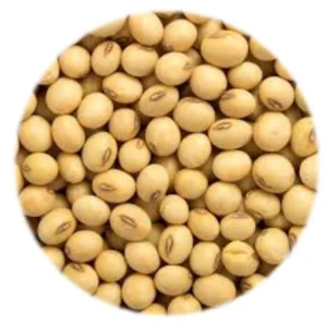 Seed - Soya Beans - 1kg