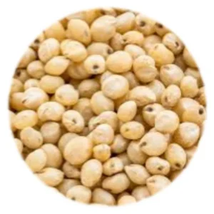 Seed - White Sorhum - 1kg
