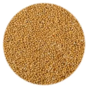 Seed - Yellow Millet - 1kg