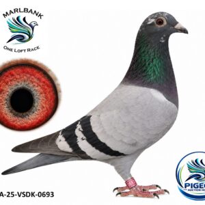Lot 008 - ZA-25-VSDK-0693