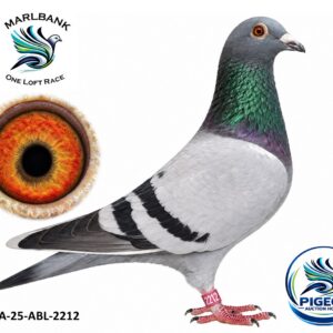 Lot 075 - ZA-25-ABL-2212