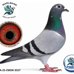 Lot 108 - ZA-25-ZWDK-3317