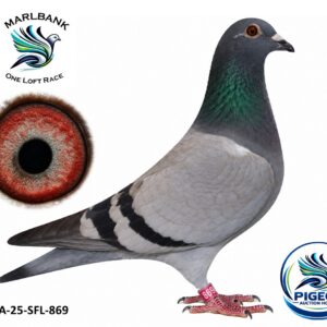 Lot 076 - ZA-25-SFL-869 "GPE ACURATE"