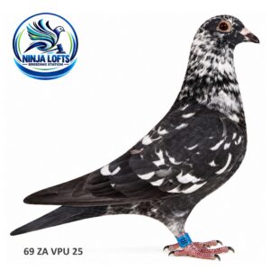 Lot 1 - 69 ZA VPU 25